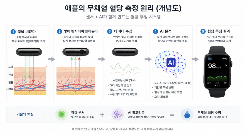 애플의 무채혈 혈당 측정 원리 무채혈 혈당 측정 원리